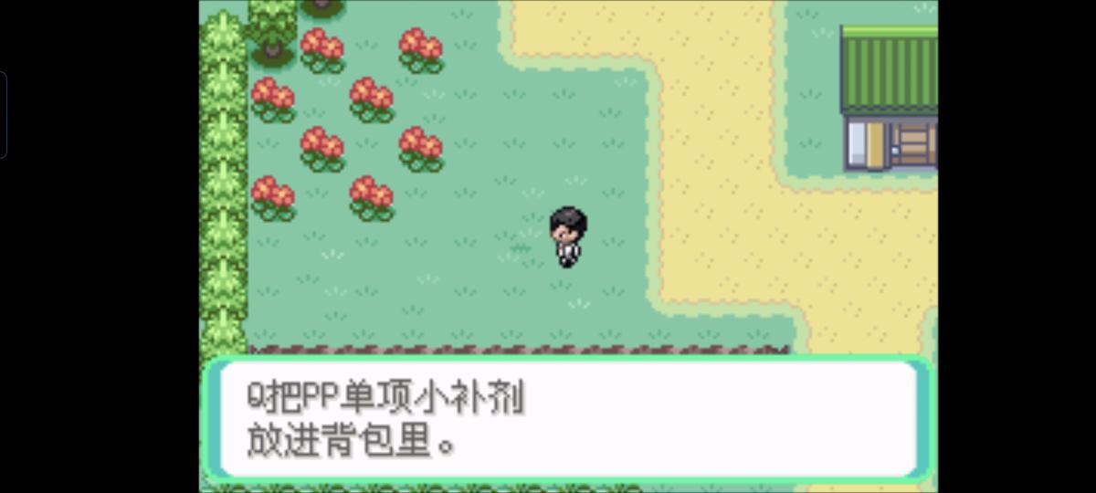 口袋妖怪西班牙火箭队2.1攻略截图55