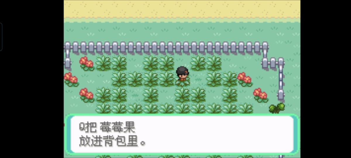 口袋妖怪西班牙火箭队2.1攻略截图21
