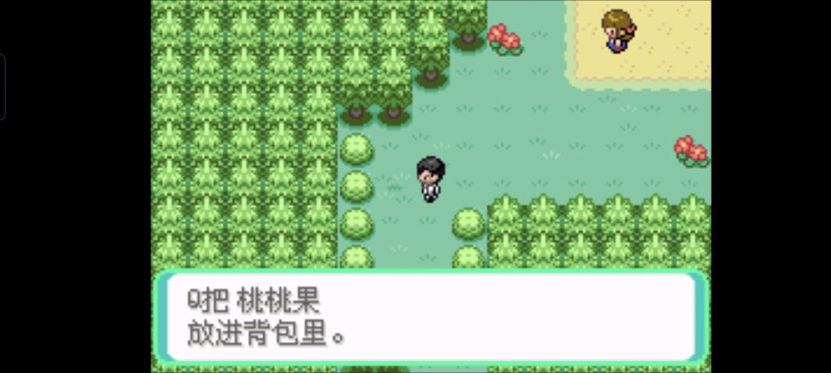 口袋妖怪西班牙火箭队2.1攻略截图67