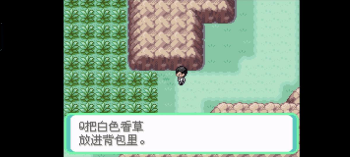 口袋妖怪西班牙火箭队2.1攻略截图64