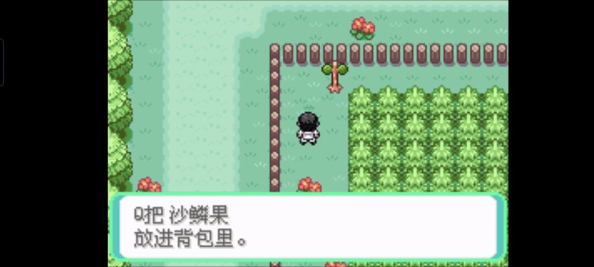 口袋妖怪西班牙火箭队2.1攻略截图32