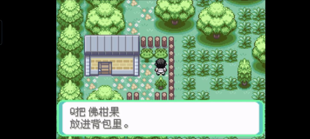 口袋妖怪西班牙火箭队2.1攻略截图56