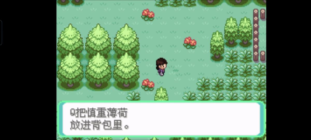 口袋妖怪西班牙火箭队2.1攻略截图32