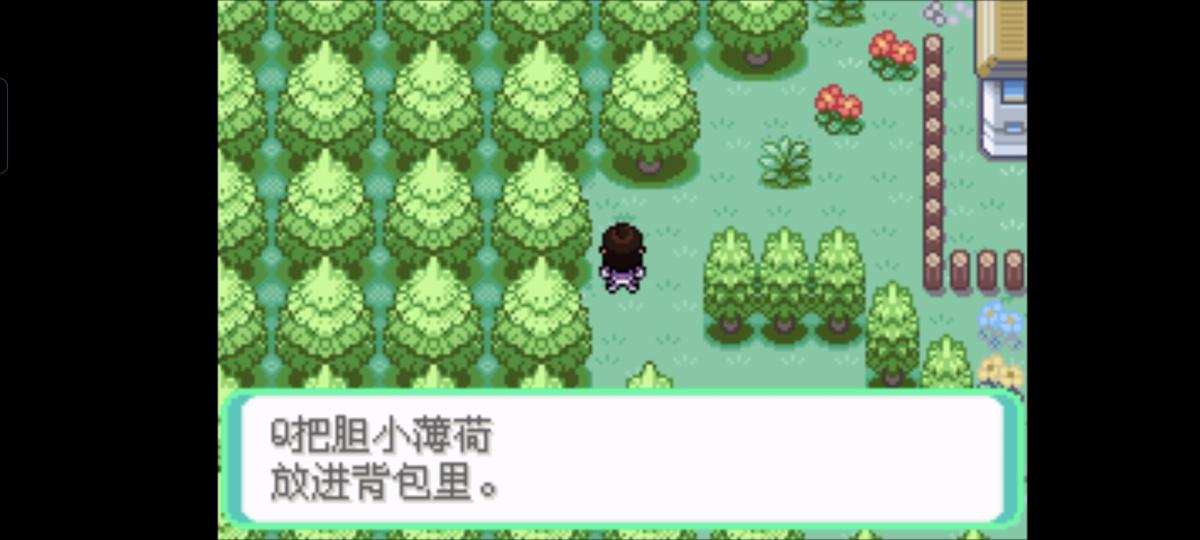口袋妖怪西班牙火箭队2.1攻略截图37