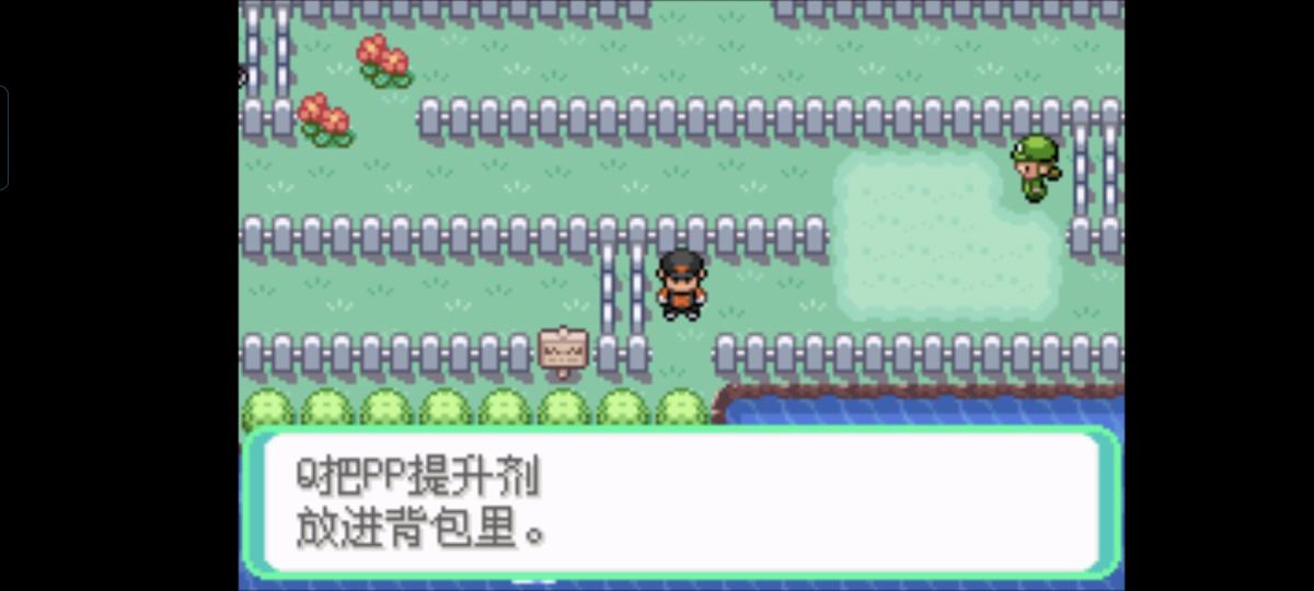 口袋妖怪西班牙火箭队2.1攻略截图39