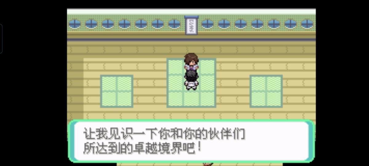 口袋妖怪西班牙火箭队2.1攻略截图60