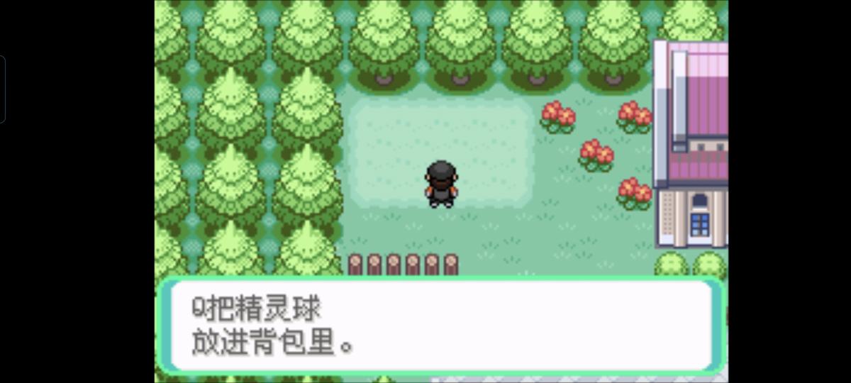 口袋妖怪西班牙火箭队2.1攻略截图87