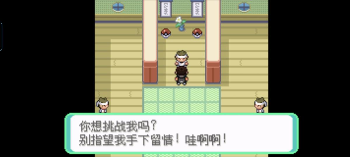 口袋妖怪西班牙火箭队2.1攻略截图31
