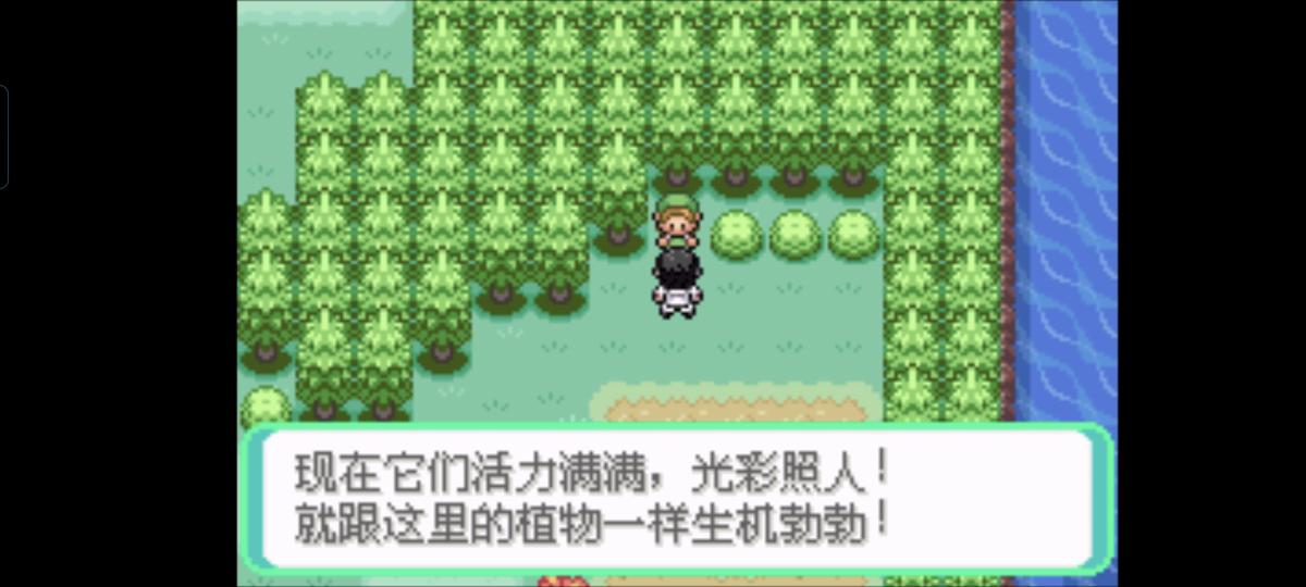 口袋妖怪西班牙火箭队2.1攻略截图65