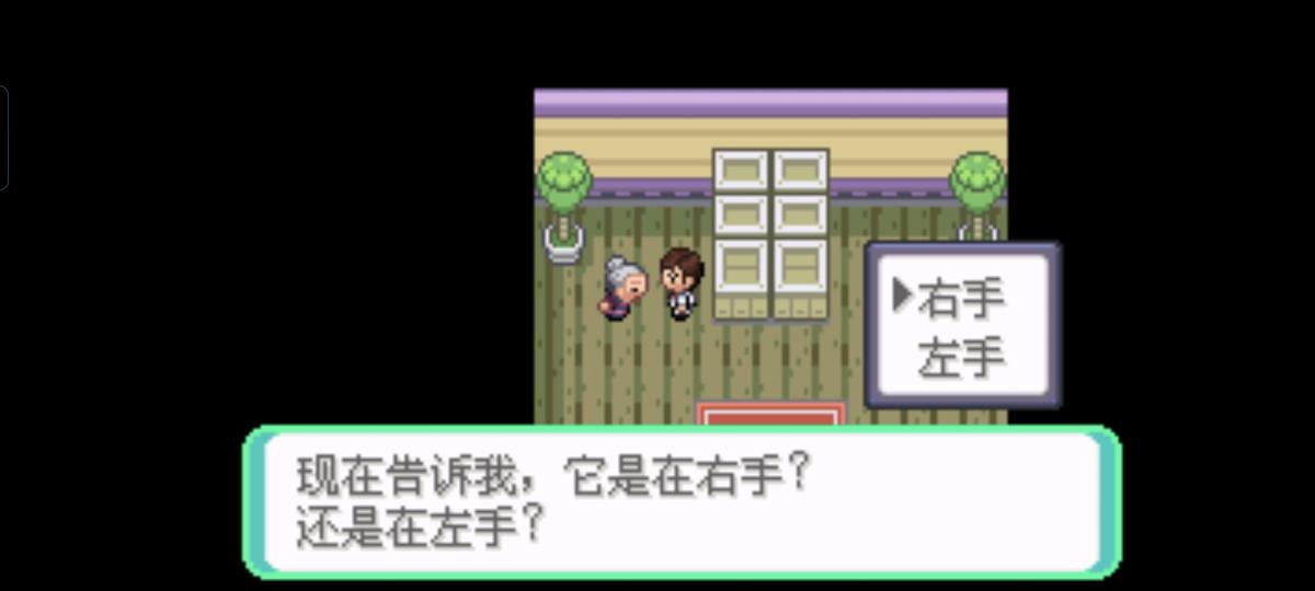 口袋妖怪西班牙火箭队2.1攻略截图50