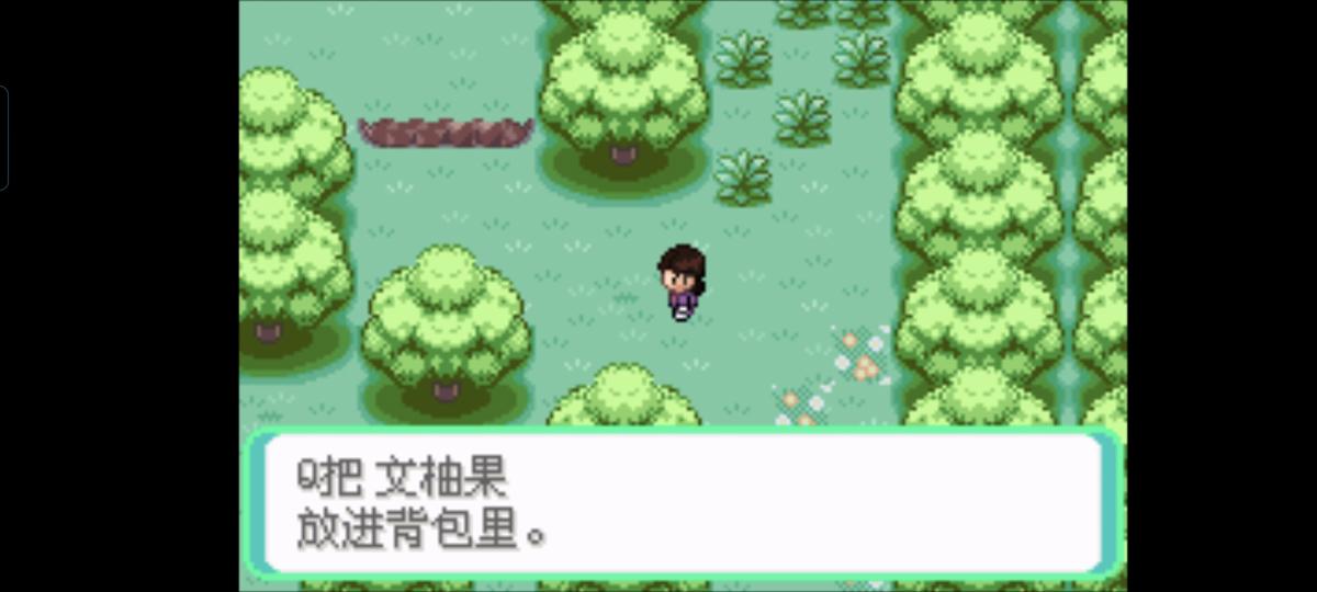口袋妖怪西班牙火箭队2.1攻略截图81