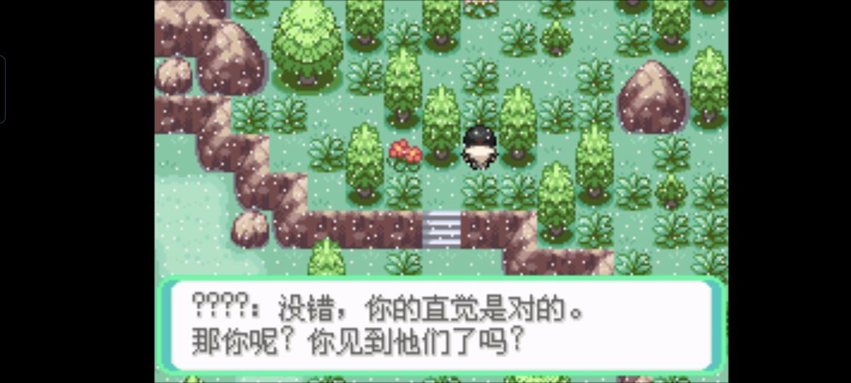 口袋妖怪西班牙火箭队2.1攻略截图71
