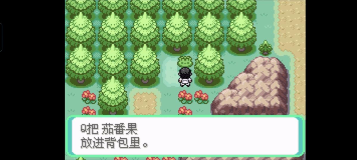 口袋妖怪西班牙火箭队2.1攻略截图31