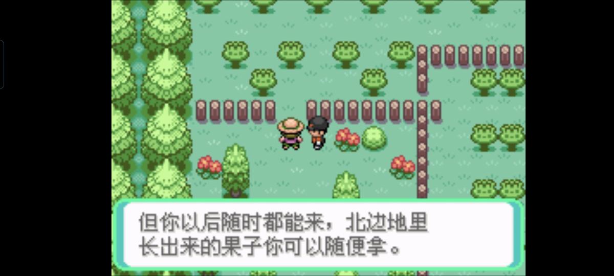 口袋妖怪西班牙火箭队2.1攻略截图84