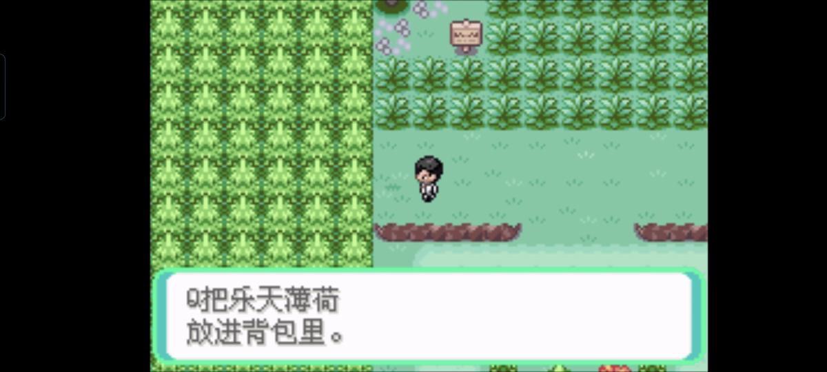 口袋妖怪西班牙火箭队2.1攻略截图71