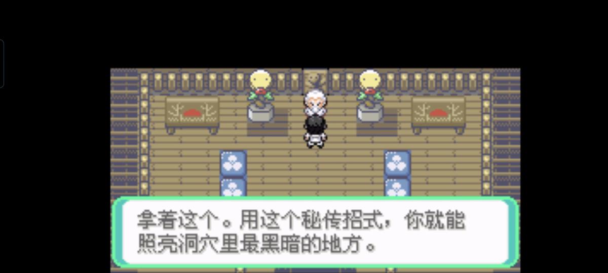 口袋妖怪西班牙火箭队2.1攻略截图59