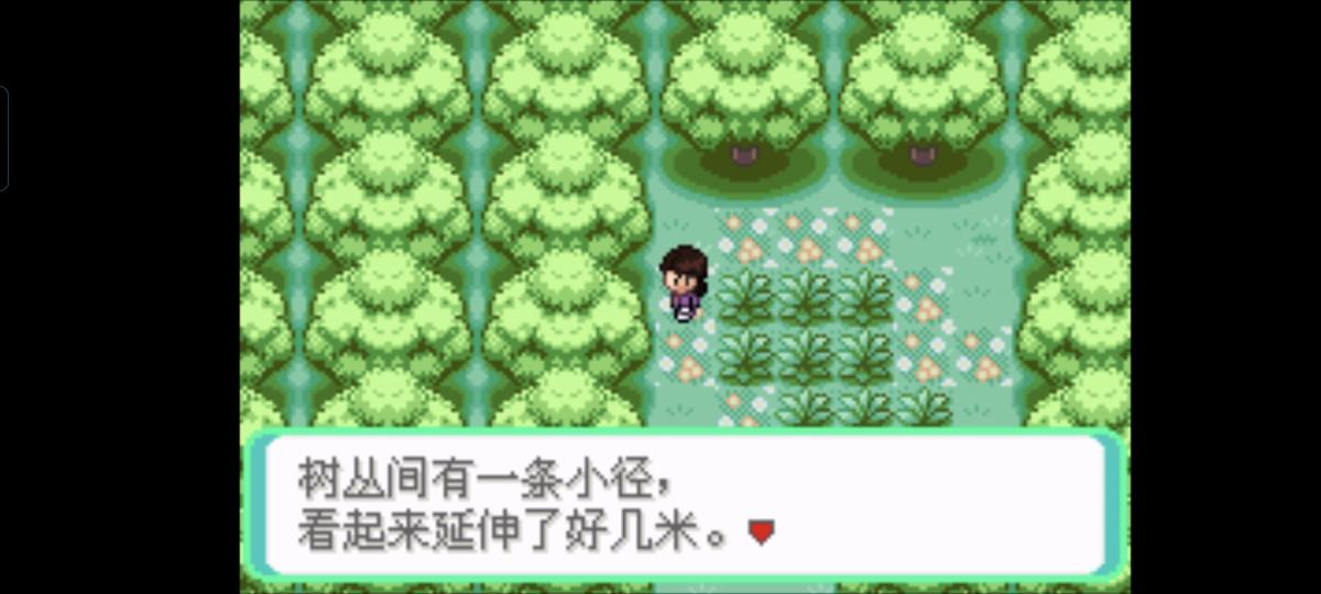 口袋妖怪西班牙火箭队2.1攻略截图89