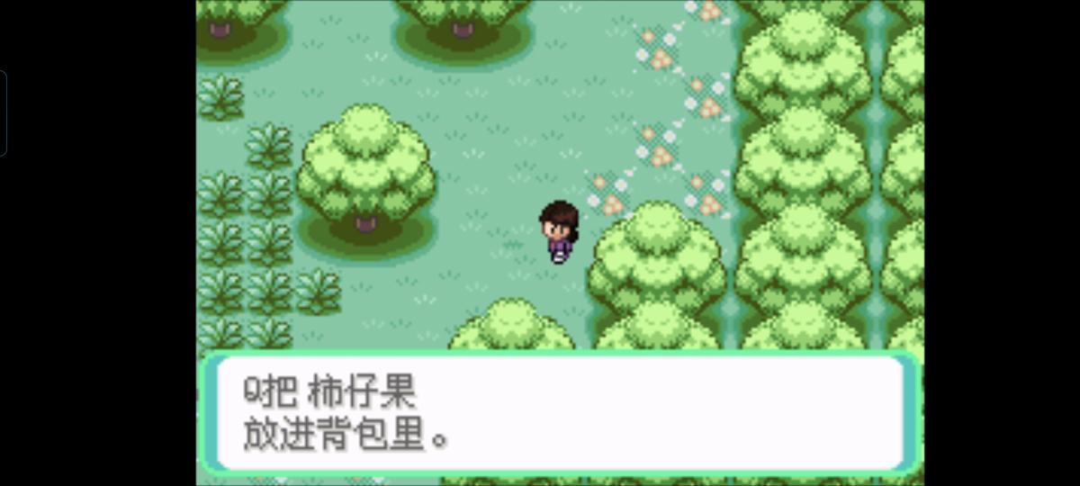 口袋妖怪西班牙火箭队2.1攻略截图80