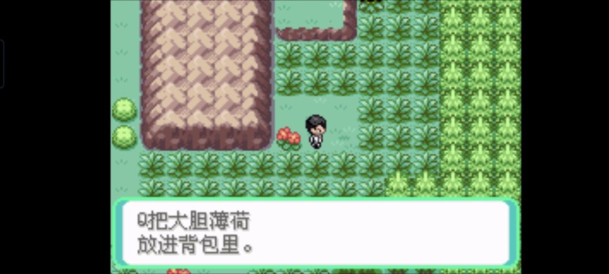 口袋妖怪西班牙火箭队2.1攻略截图62