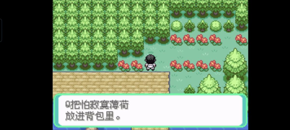 口袋妖怪西班牙火箭队2.1攻略截图48