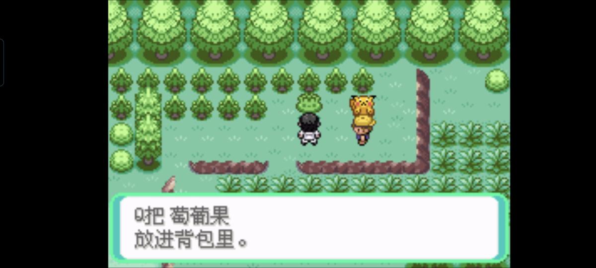 口袋妖怪西班牙火箭队2.1攻略截图25