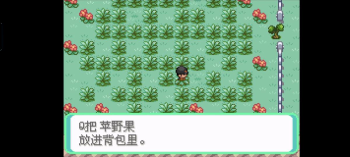 口袋妖怪西班牙火箭队2.1攻略截图22