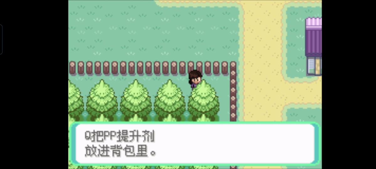 口袋妖怪西班牙火箭队2.1攻略截图76