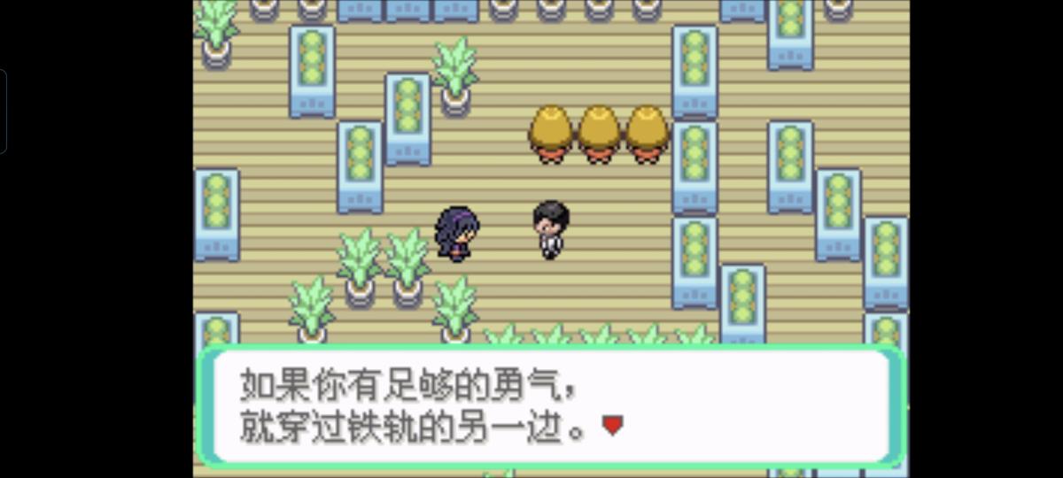 口袋妖怪西班牙火箭队2.1攻略截图40