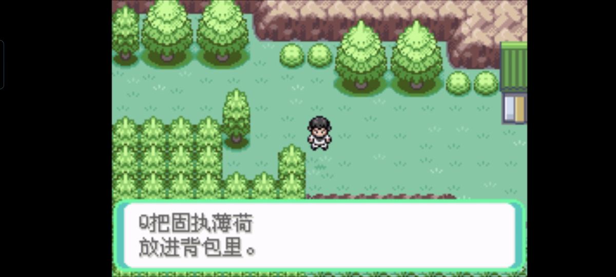 口袋妖怪西班牙火箭队2.1攻略截图69