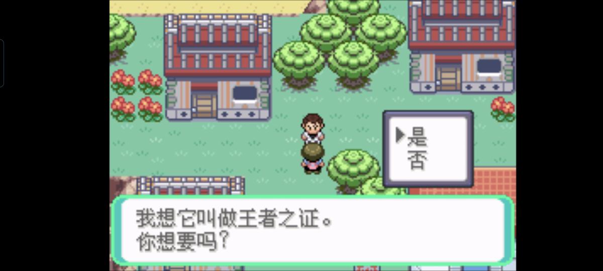 口袋妖怪西班牙火箭队2.1攻略截图58
