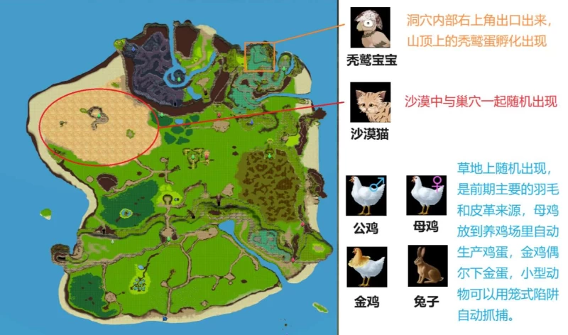 疯狂岛 Mad Island攻略全流程  第9张