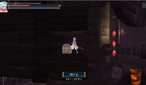 圣骑士莉卡物语攻略 物品成就全解锁流程  第60张