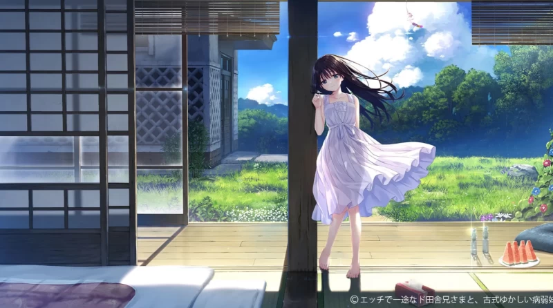 痴情哥哥与病弱妹妹的乡间生活图文攻略 田舍兄妹全结局通关指南  第7张