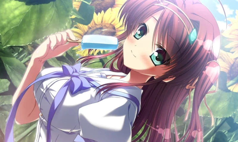 夏空的英仙座全角色攻略路线顺序 | 远野恋皆川翠菱田菖蒲沢渡透香结局解锁条件  第2张