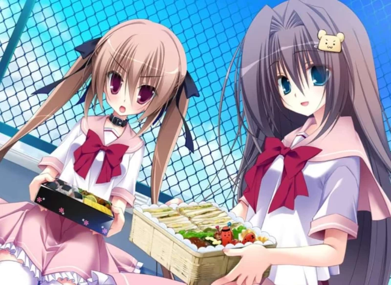 妹调教日记攻略 全CG解锁与五结局达成条件